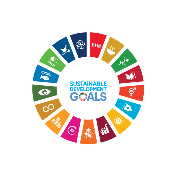 Sustainable Development Goals circle showing all the 17 goals with their icons and colors